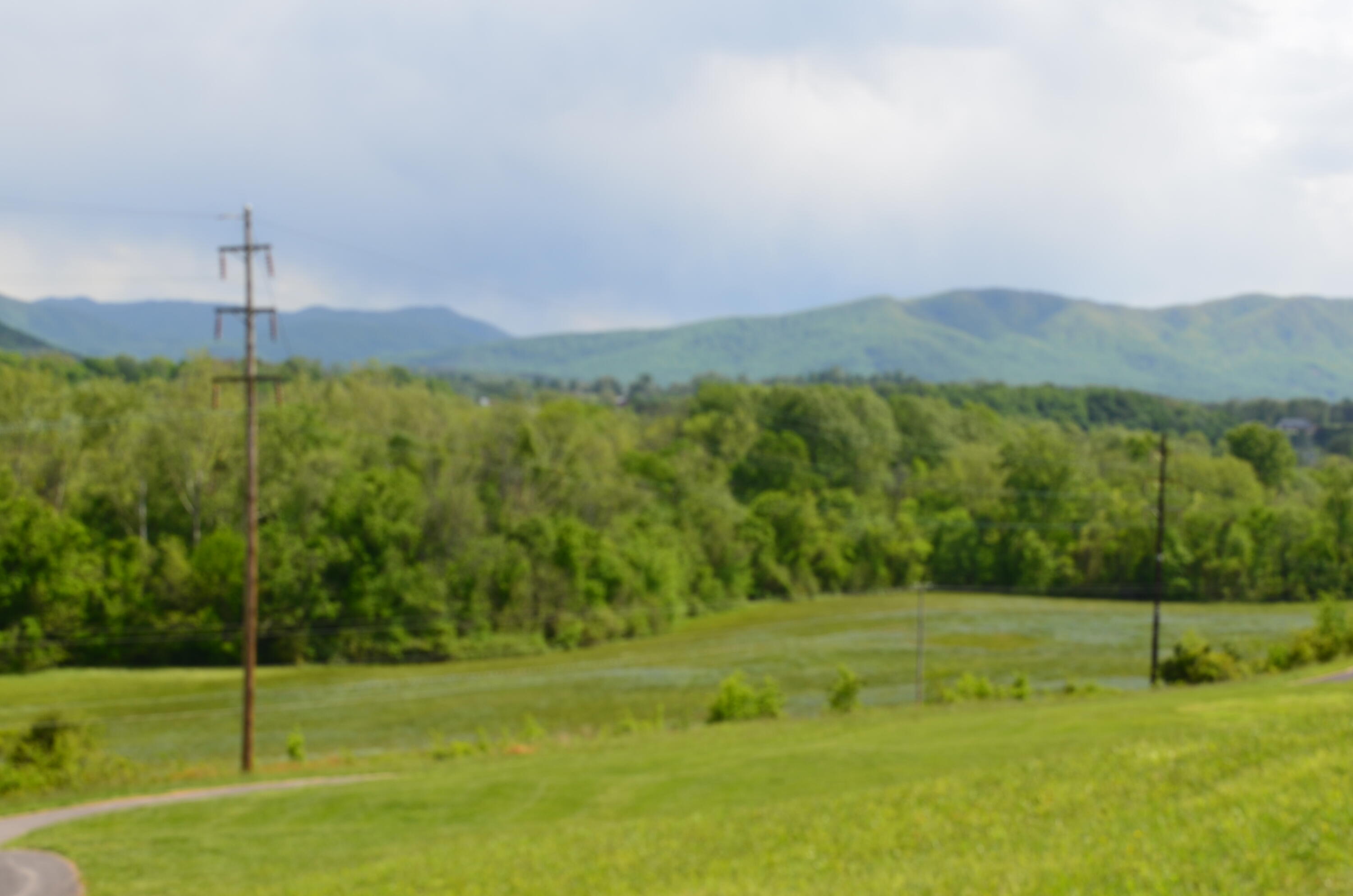 Lot 21 R Golf Villa Drive, Greeneville, Tennessee image 6
