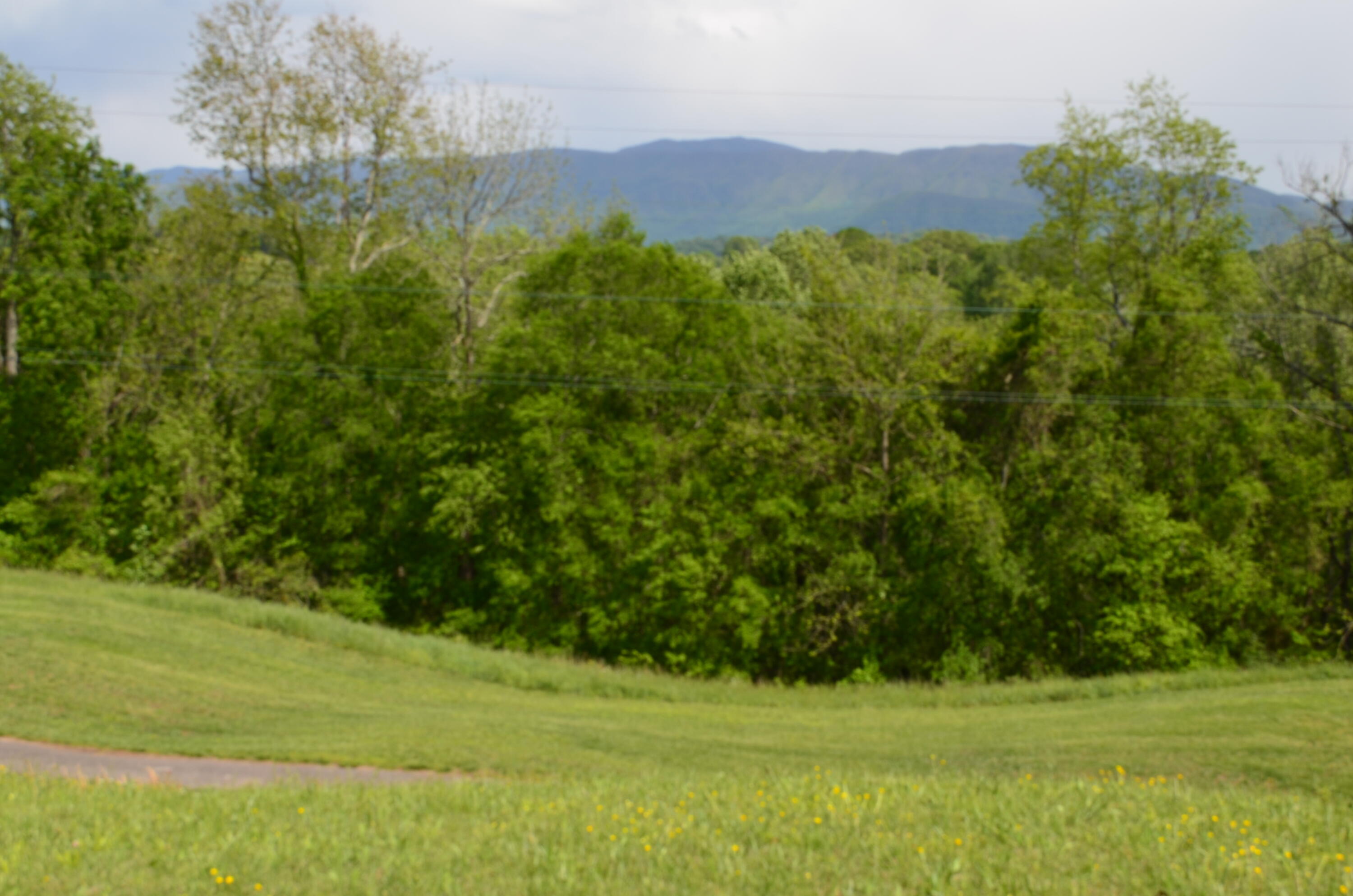Lot 21 R Golf Villa Drive, Greeneville, Tennessee image 5
