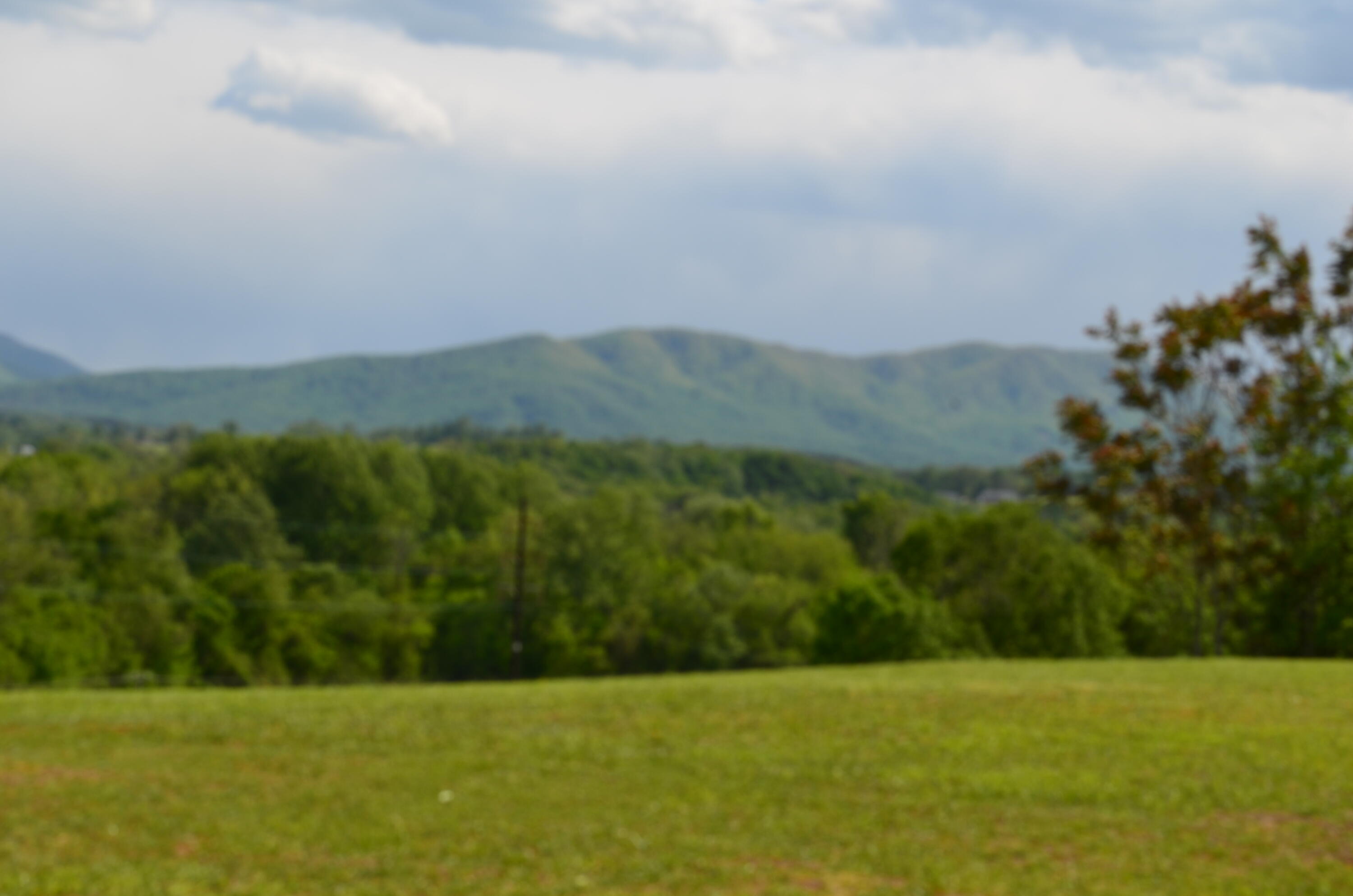 Lot 21 R Golf Villa Drive, Greeneville, Tennessee image 8