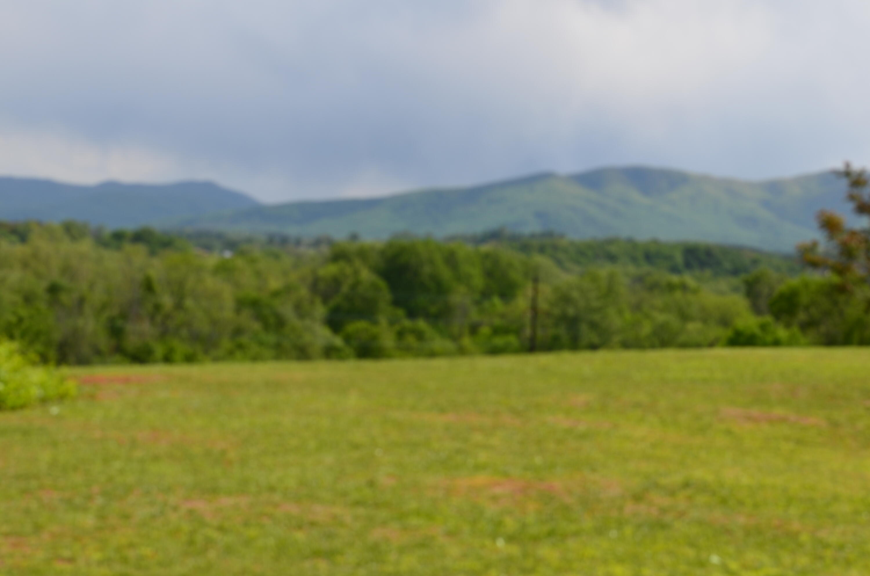 Lot 21 R Golf Villa Drive, Greeneville, Tennessee image 1