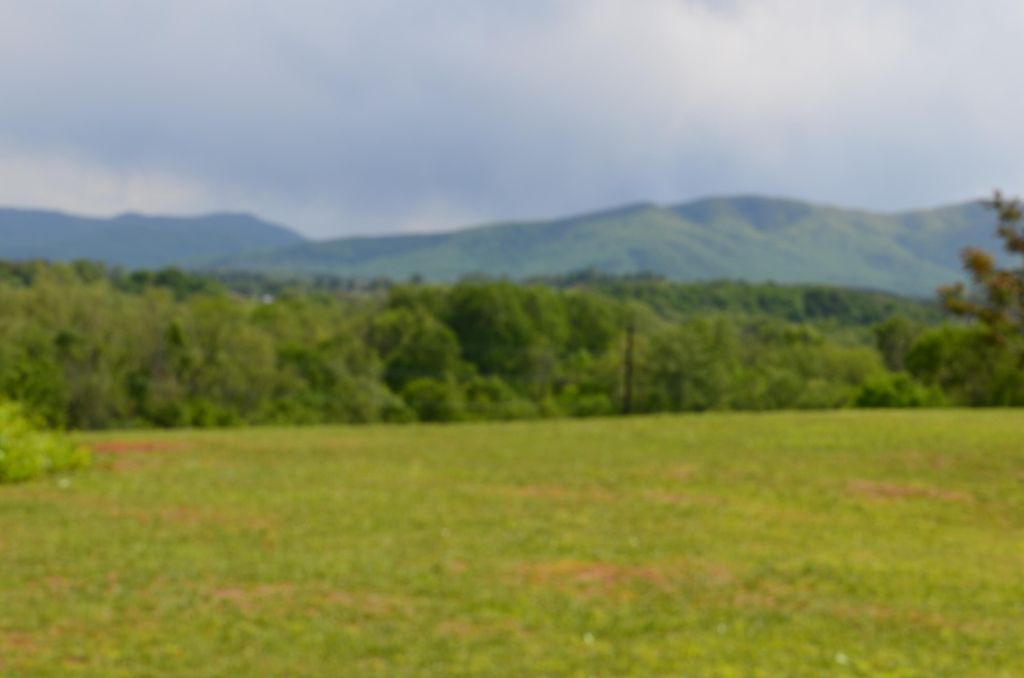 Photo of 21 Golf Villa Drive, Greeneville, TN 37743 (MLS # 9951329)