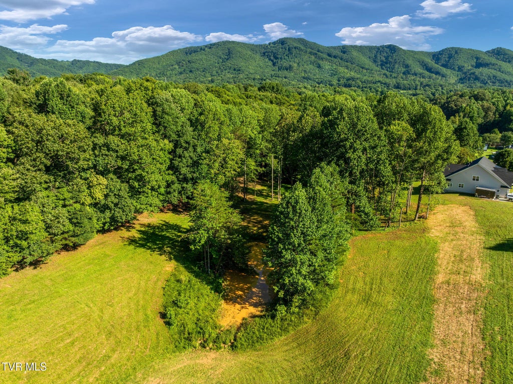 Photo of 156 Water Tank Hill Road, Johnson City, TN 37604 (MLS # 10001360)