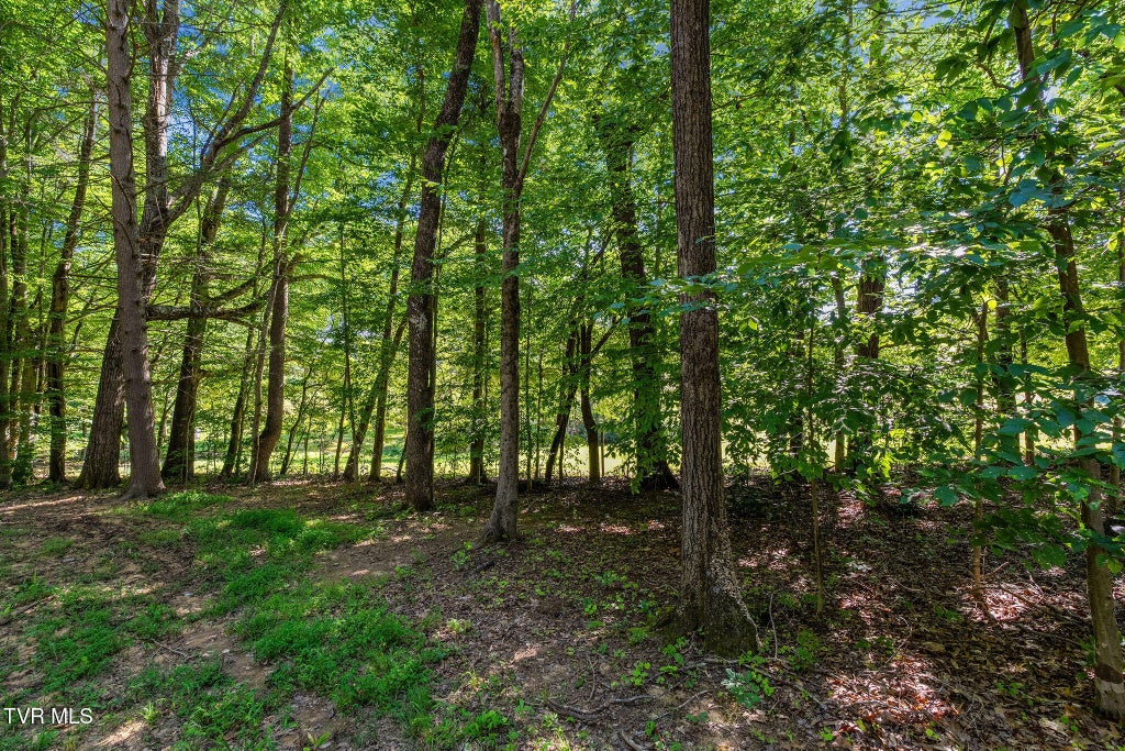 Photo of 156 Water Tank Hill Road, Johnson City, TN 37604 (MLS # 10001360)