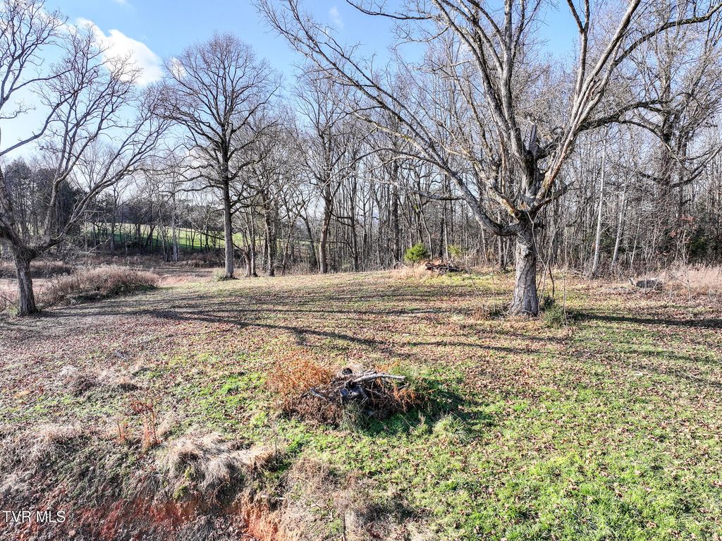 Photo of 1739 Redwing Lane, New Market, TN 37820 (MLS # 9989773)