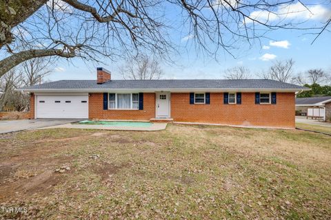 Photo of 126 Skyview Drive, Greeneville, TN 37745 (MLS # 9988781)