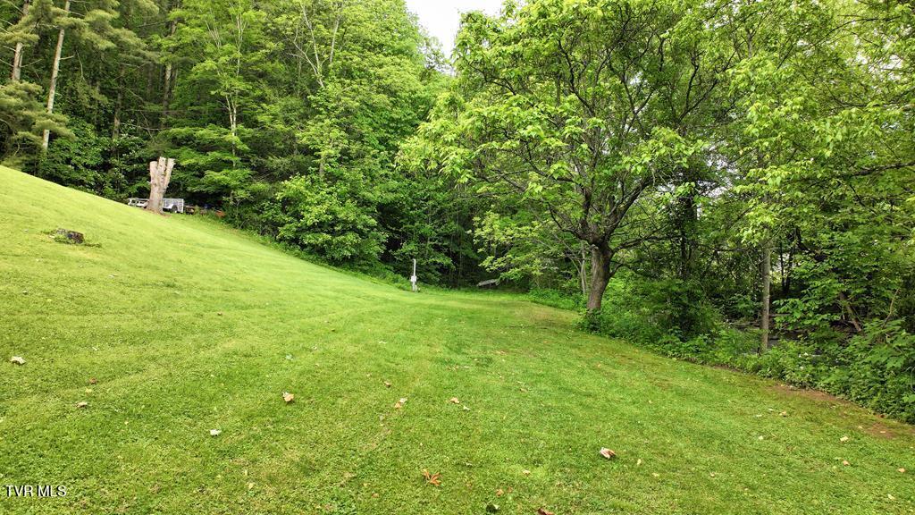 Tbd Carl Vance Drive, Swords Creek, Virginia image 1