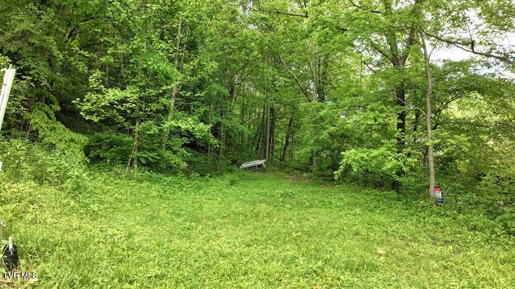 Tbd Carl Vance Drive, Swords Creek, Virginia image 2