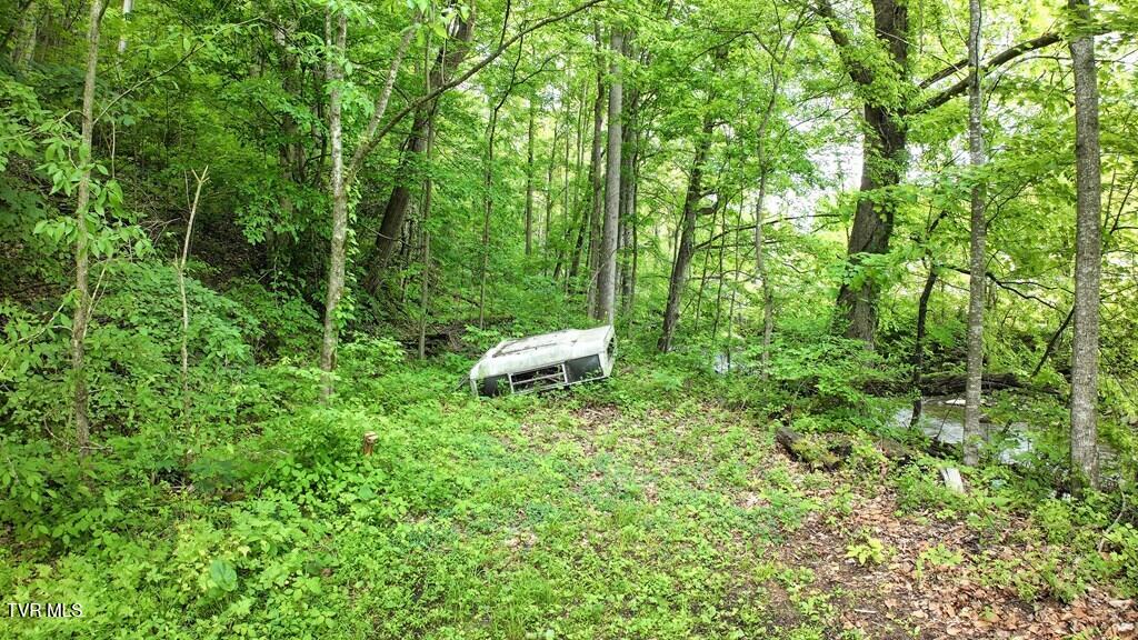 Tbd Carl Vance Drive, Swords Creek, Virginia image 3