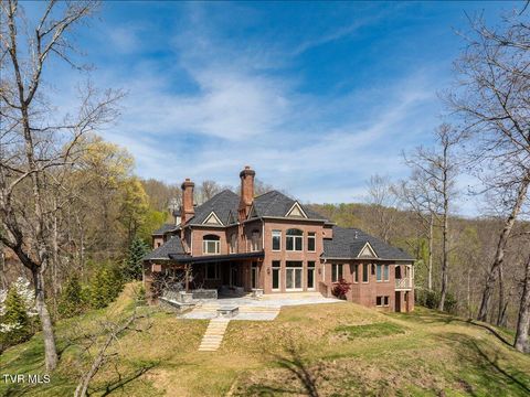 Photo of 54 Three Oaks Drive, Bristol, TN 37620 (MLS # 9994738)
