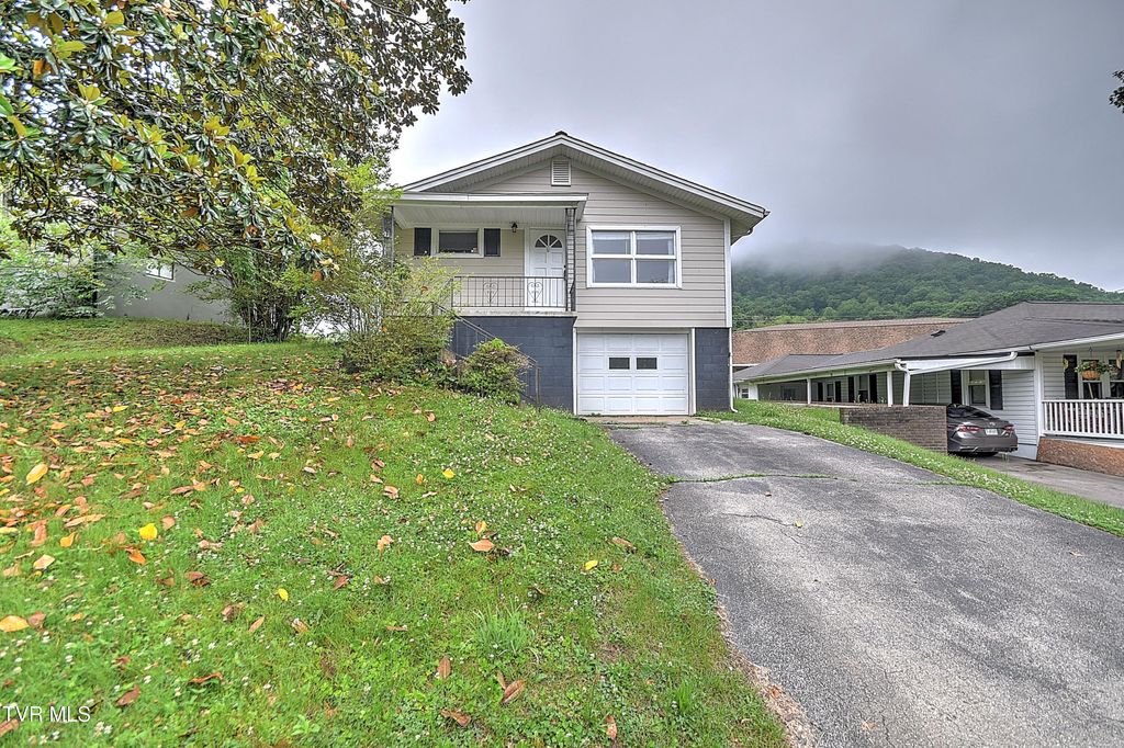 Photo of 166 Reading Road, Weber City, VA 24290 (MLS # 9996095)