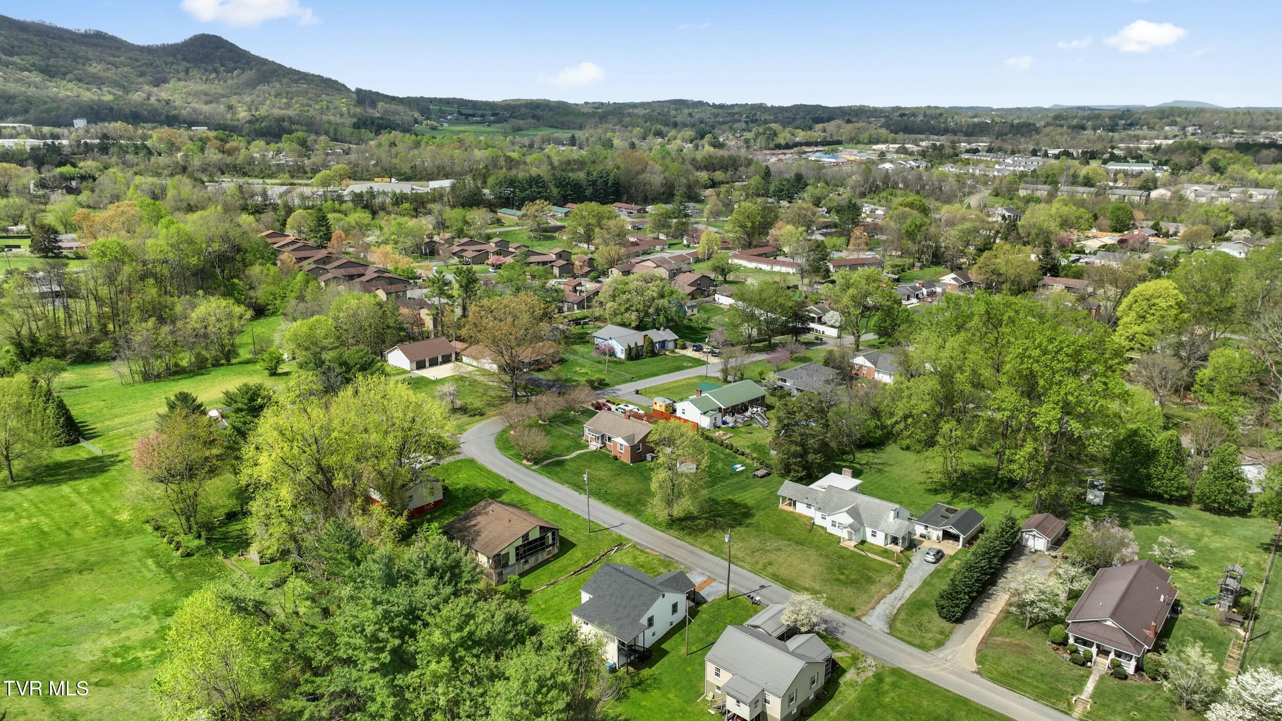 121 Arlington Drive, Johnson City, Tennessee image 35