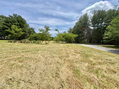Vacant Land For Sale - 110 Lake Hollow Road<br/> Piney Flats, TN 37686