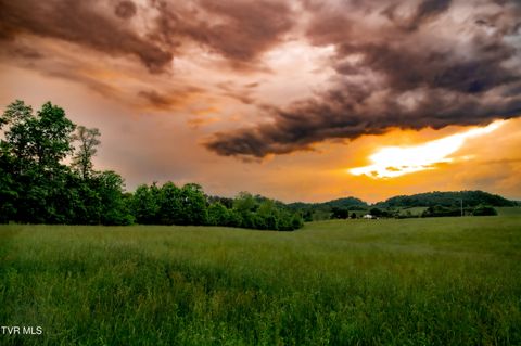 Vacant Land For Sale - TBD Old Hall Road Parcel's 3 & 4<br/> Limestone, TN 37681