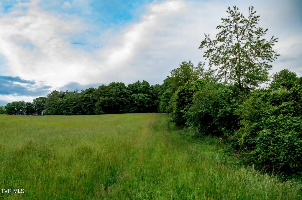 Photo of Tbd Old Hall Road Parcel'S 3 &amp; 4, Limestone, TN 37681 (MLS # 9990051)