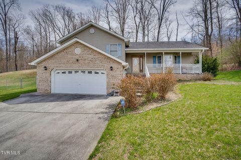 Photo of 153 Valley Crest Drive, Mount Carmel, TN 37645 (MLS # 9992725)