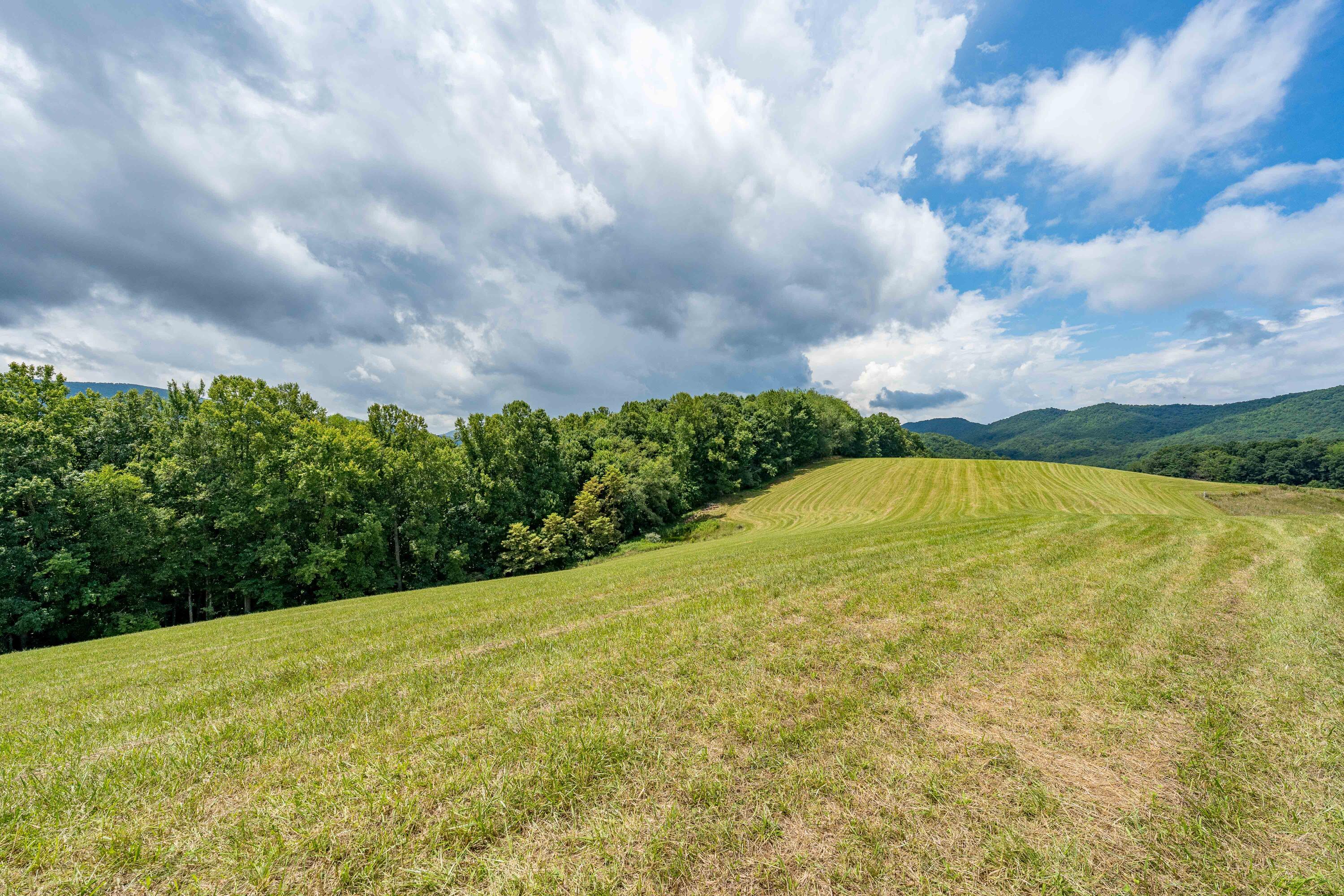 Tbd J Bunton Road, Mountain City, Tennessee image 2