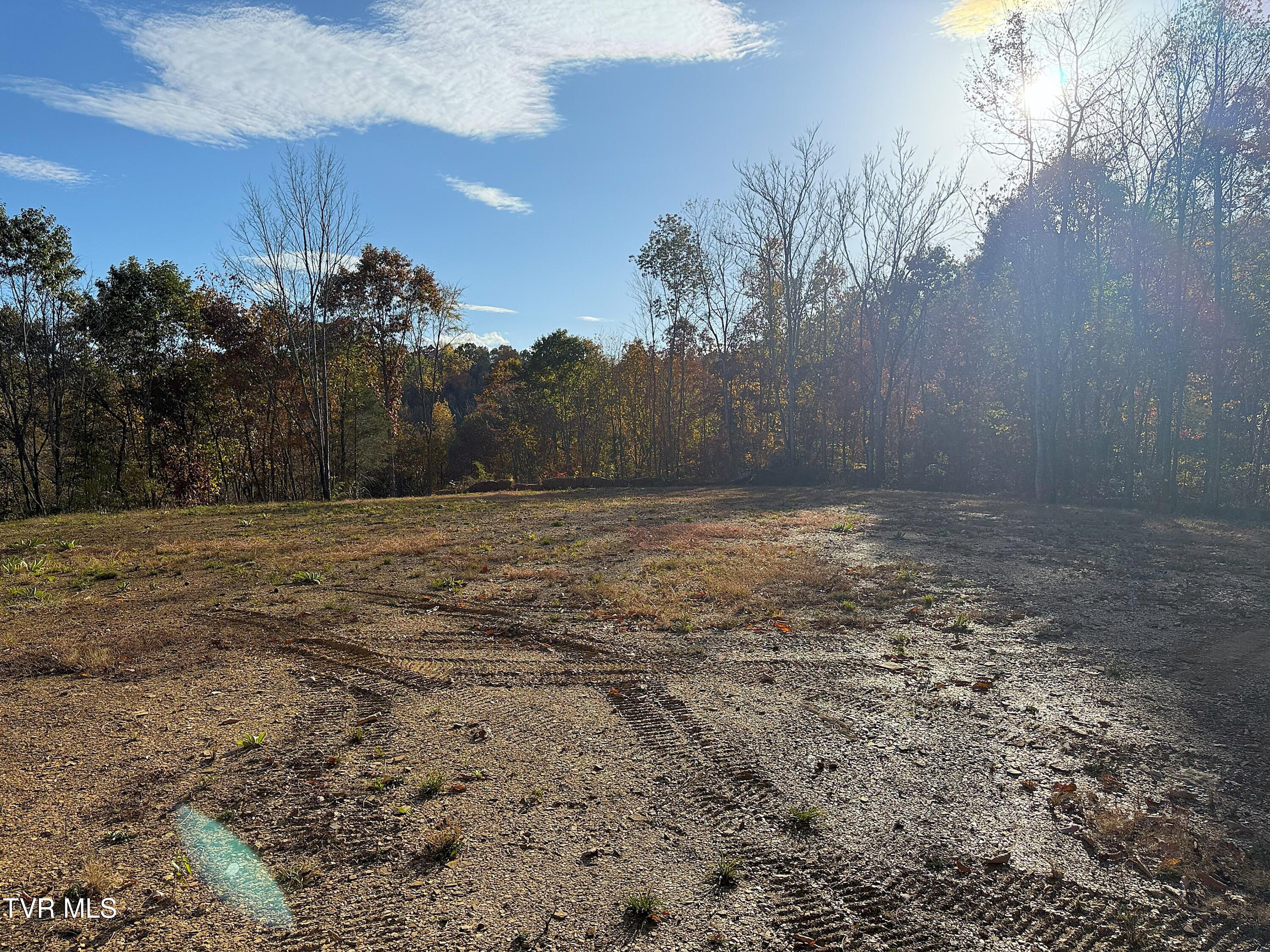 Tract 8 Topaz Way, Parrottsville, Tennessee image 4
