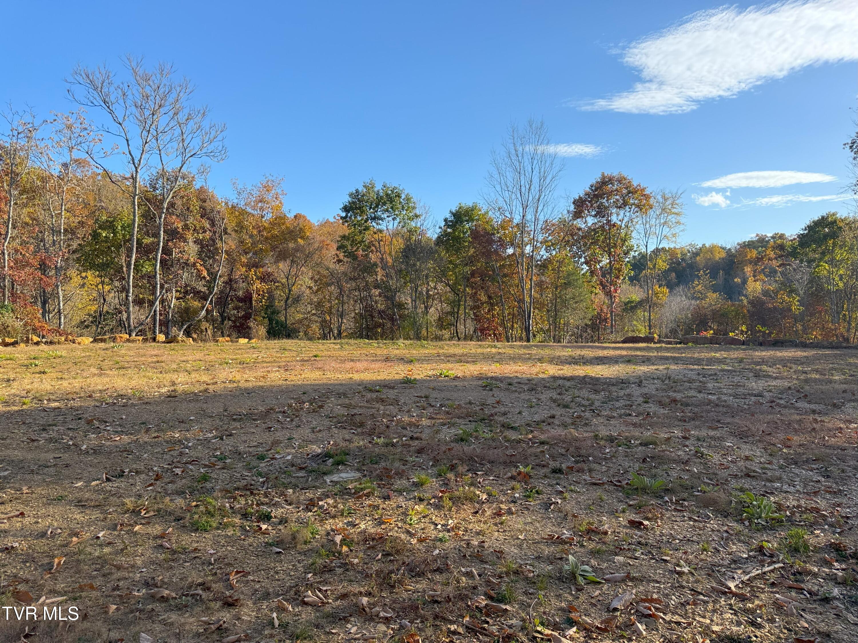 Tract 8 Topaz Way, Parrottsville, Tennessee image 5