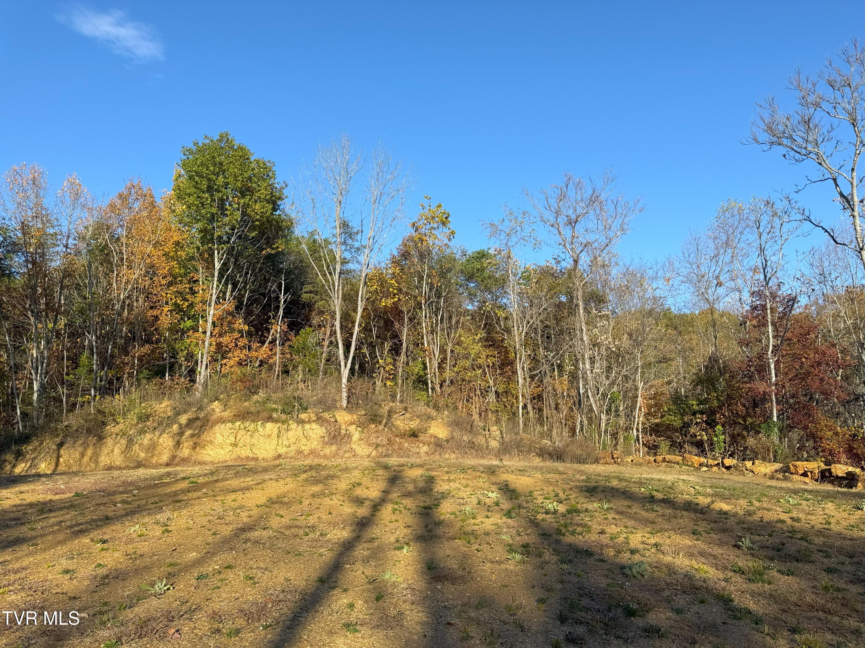 Tract 8 Topaz Way, Parrottsville, Tennessee image 9