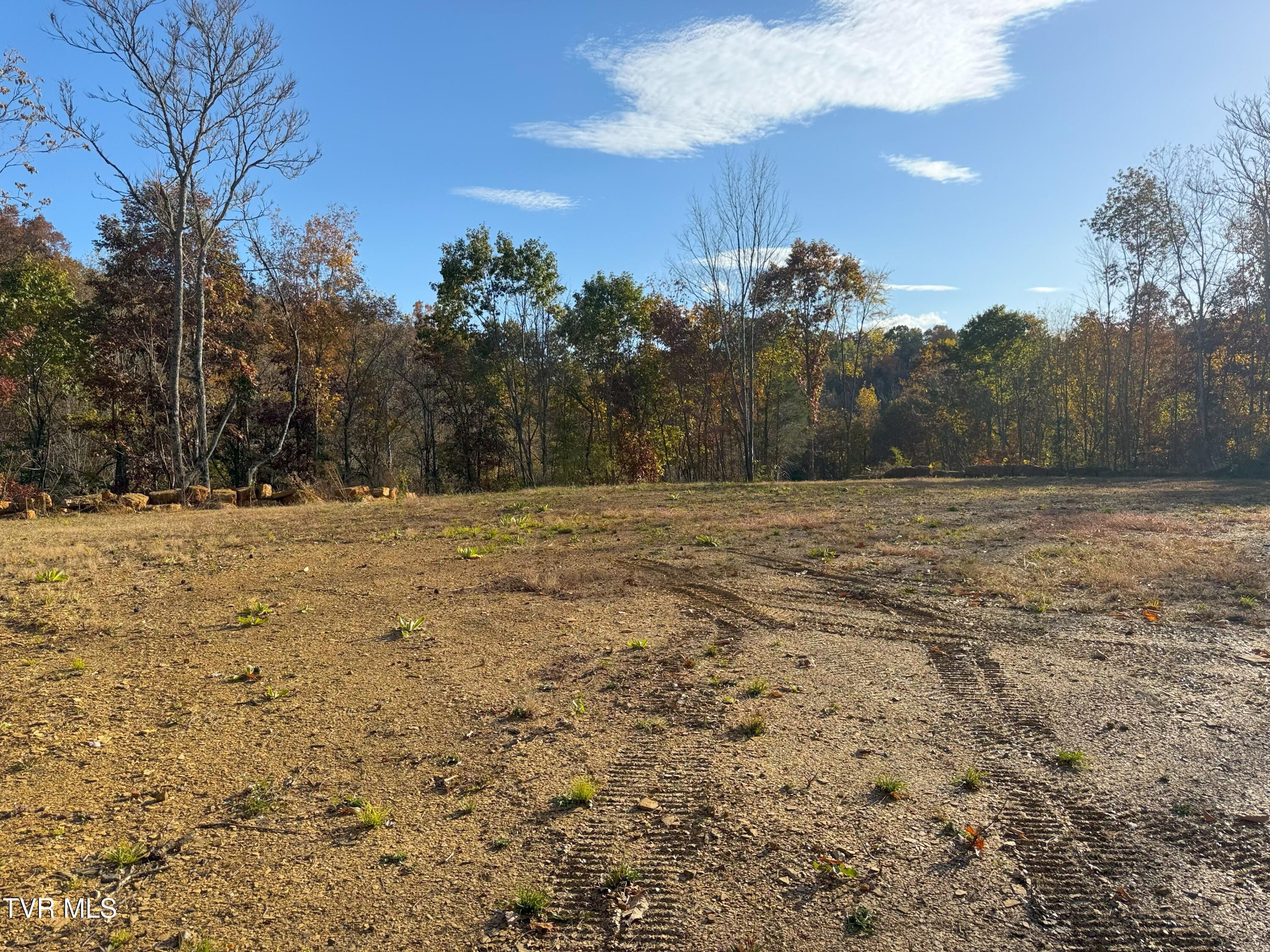 Tract 8 Topaz Way, Parrottsville, Tennessee image 2