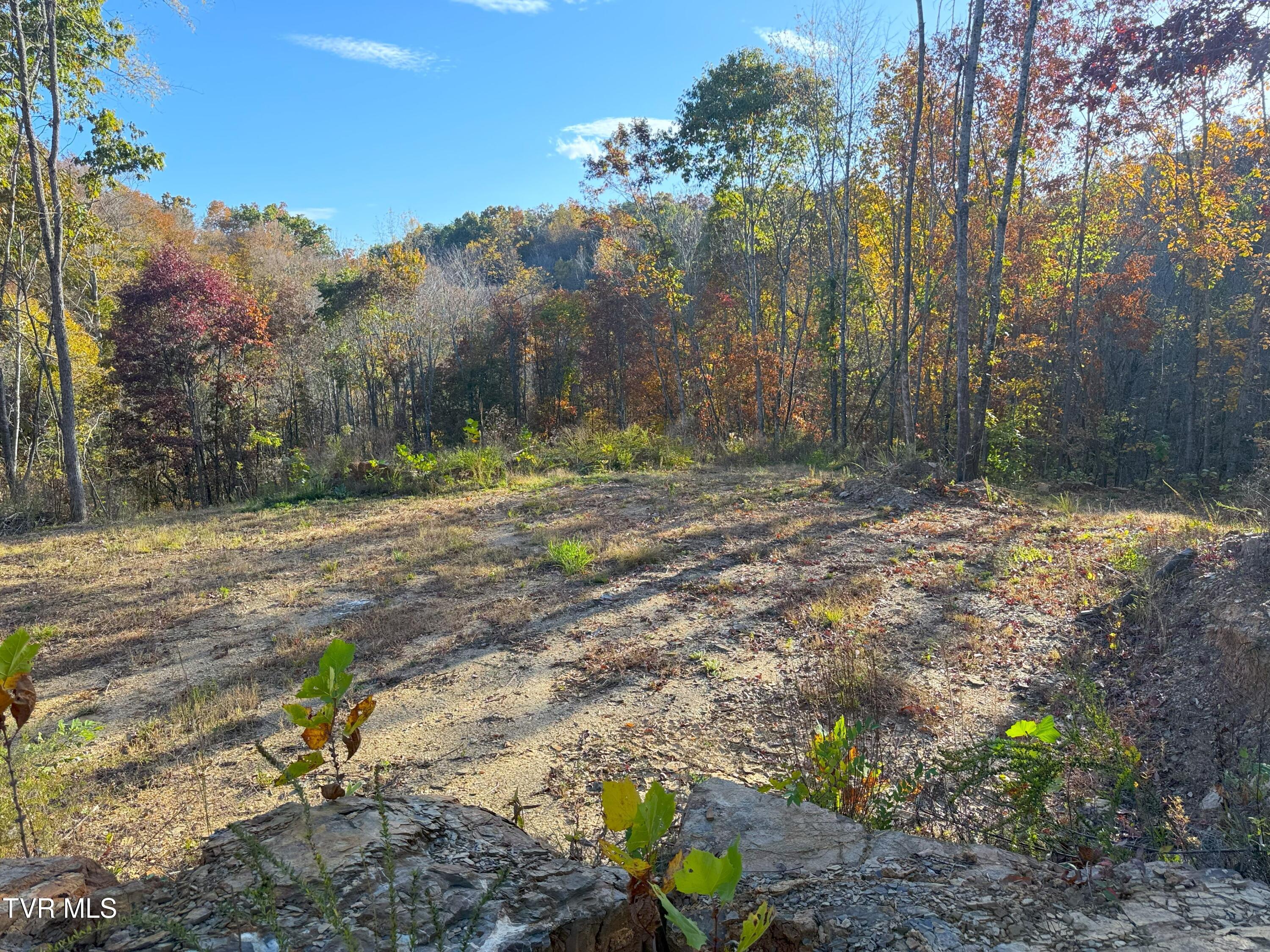 Tract 8 Topaz Way, Parrottsville, Tennessee image 6