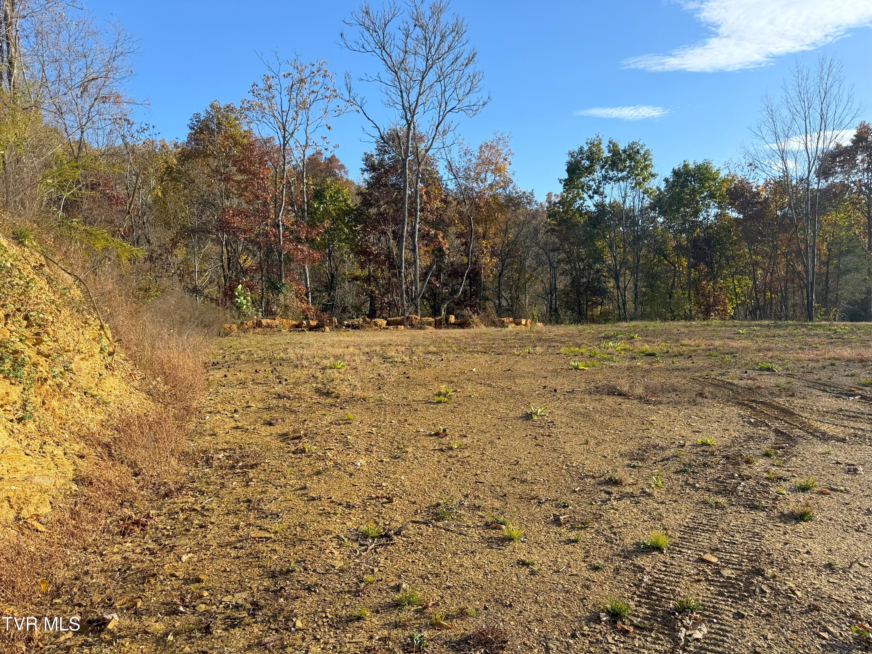Tract 8 Topaz Way, Parrottsville, Tennessee image 3