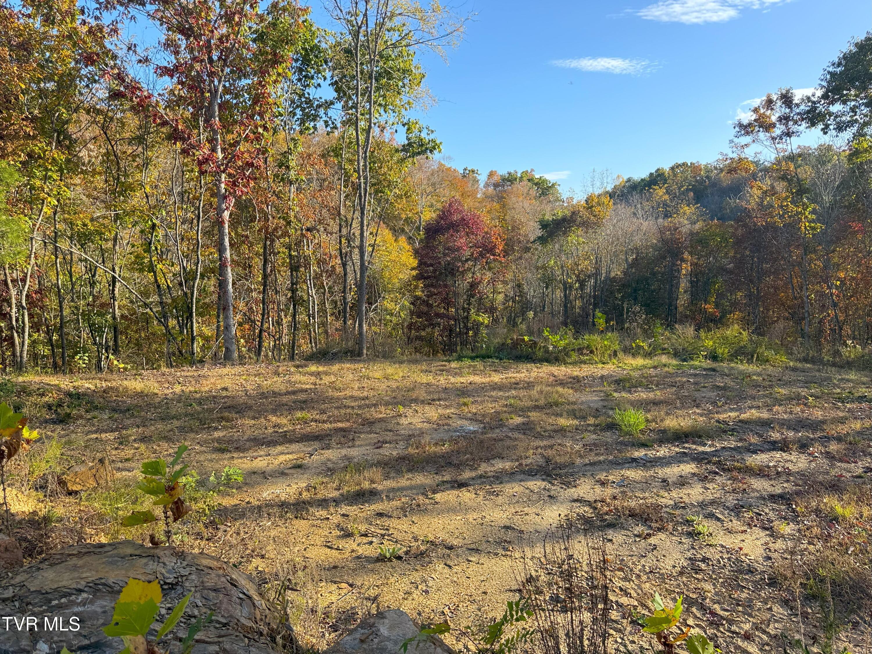 Tract 8 Topaz Way, Parrottsville, Tennessee image 7