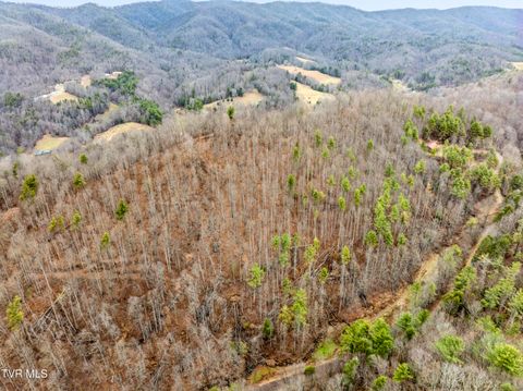 Vacant Land For Sale - TBD Stage Road<br/> Johnson County, Mountain City, TN 37683