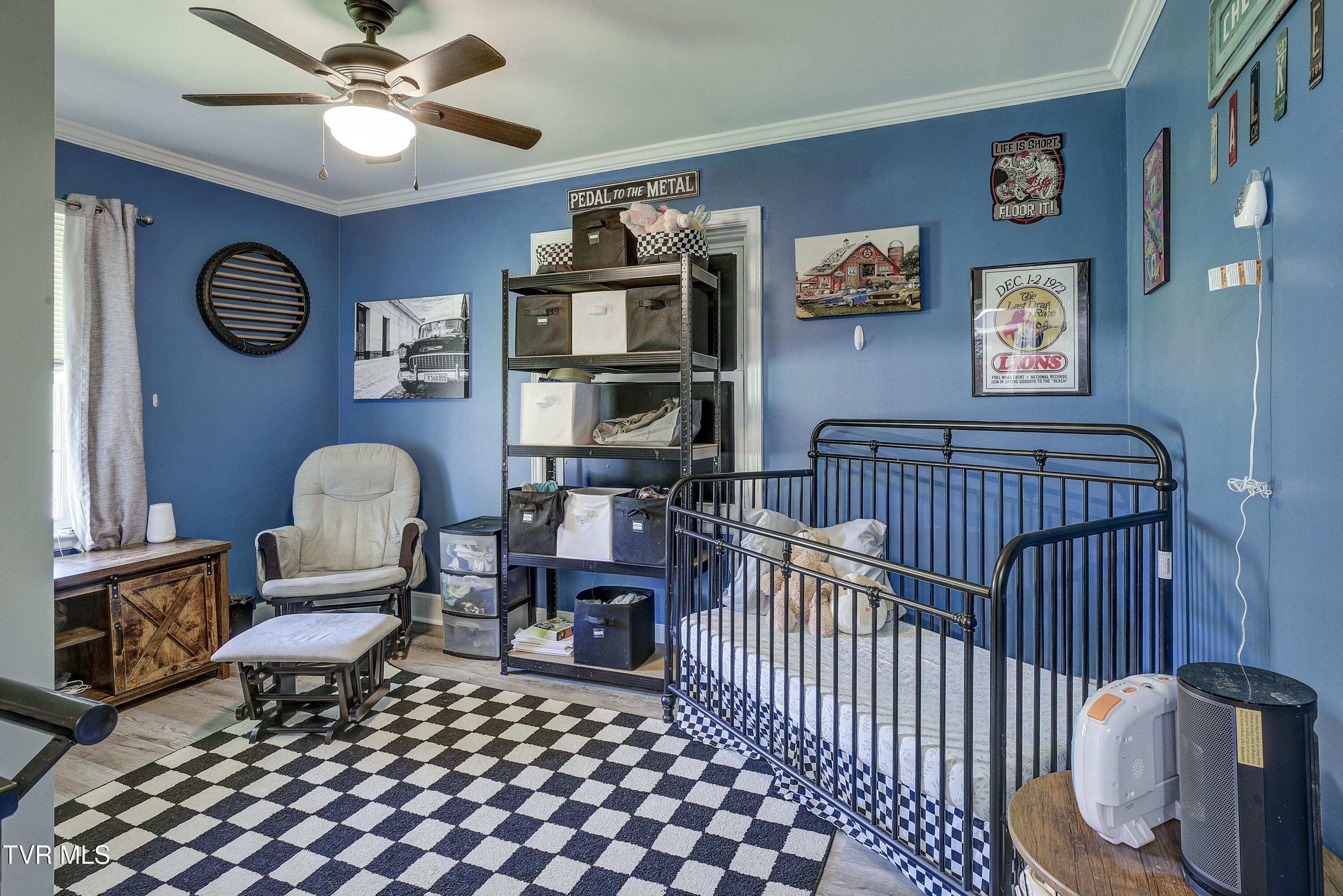 16230 Kingsport Highway, Fall Branch, Tennessee image 21