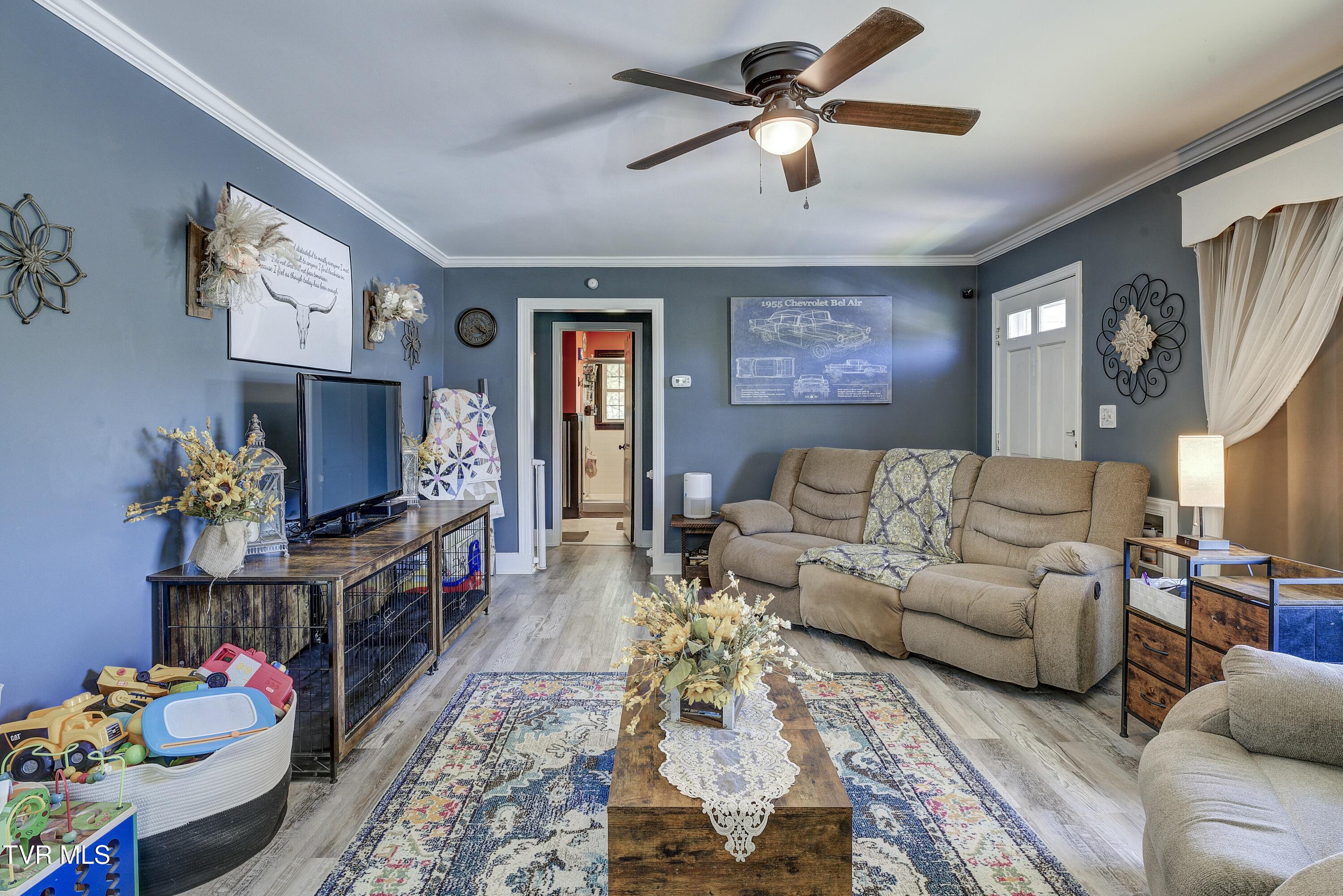 16230 Kingsport Highway, Fall Branch, Tennessee image 8