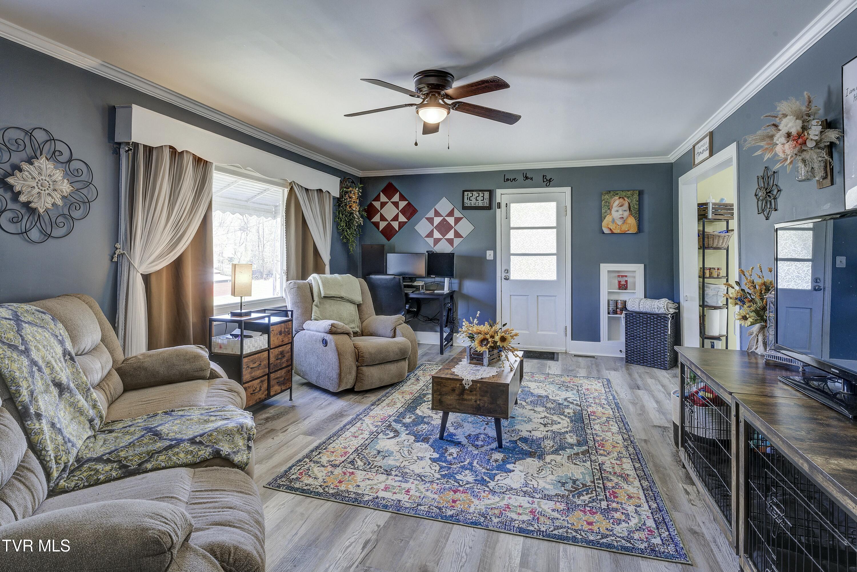 16230 Kingsport Highway, Fall Branch, Tennessee image 10