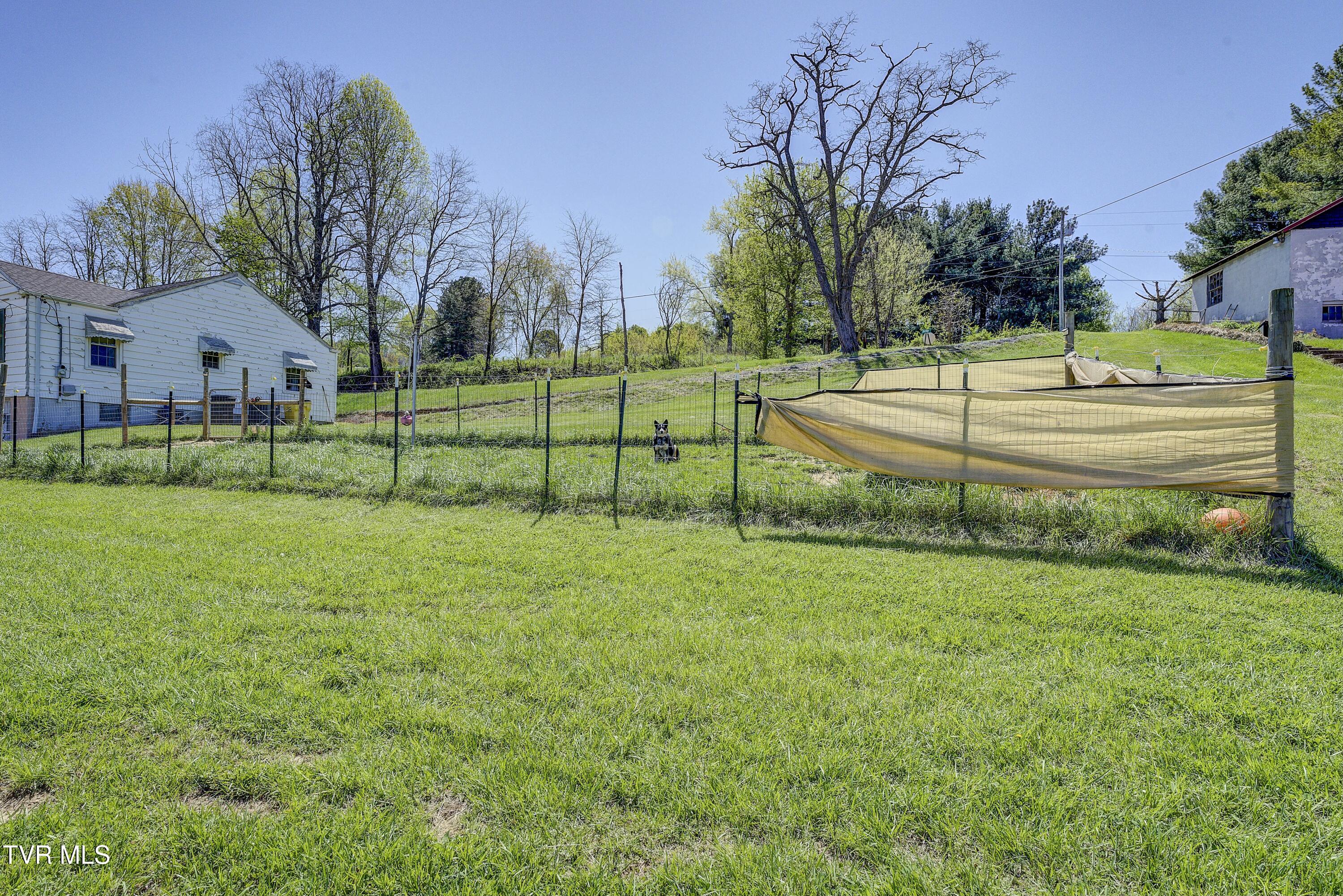 16230 Kingsport Highway, Fall Branch, Tennessee image 29