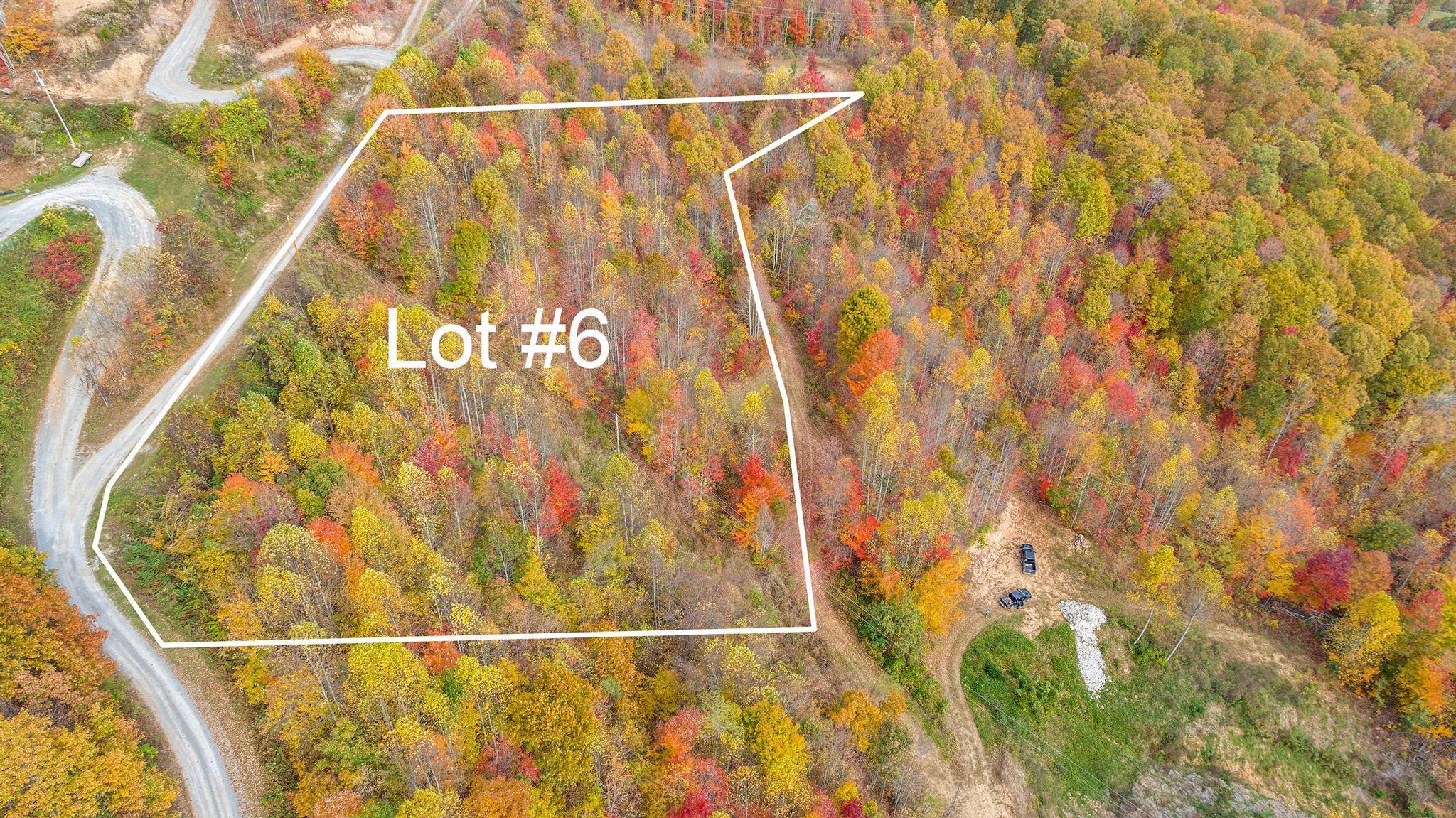 Tbd Purple Glory Lot 6 Drive, Duffield, Virginia image 1