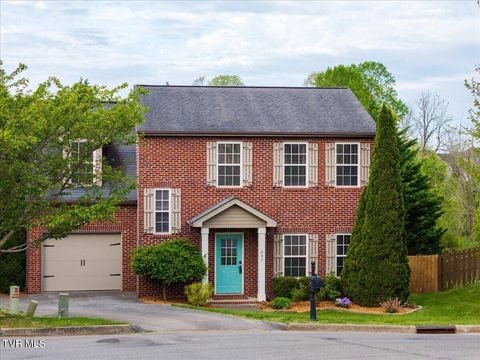 Photo of 207 Azalea Ridge, Johnson City, TN 37601 (MLS # 9993945)