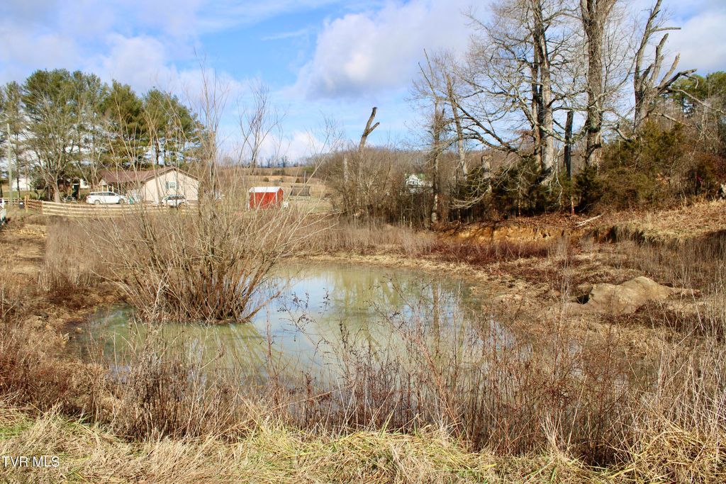 Photo of 5517 Poplar Springs Road, Greeneville, TN 37743 (MLS # 9991153)