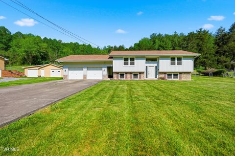 Photo of 239 Horton Highway, Fall Branch, TN 37656 (MLS # 9994435)