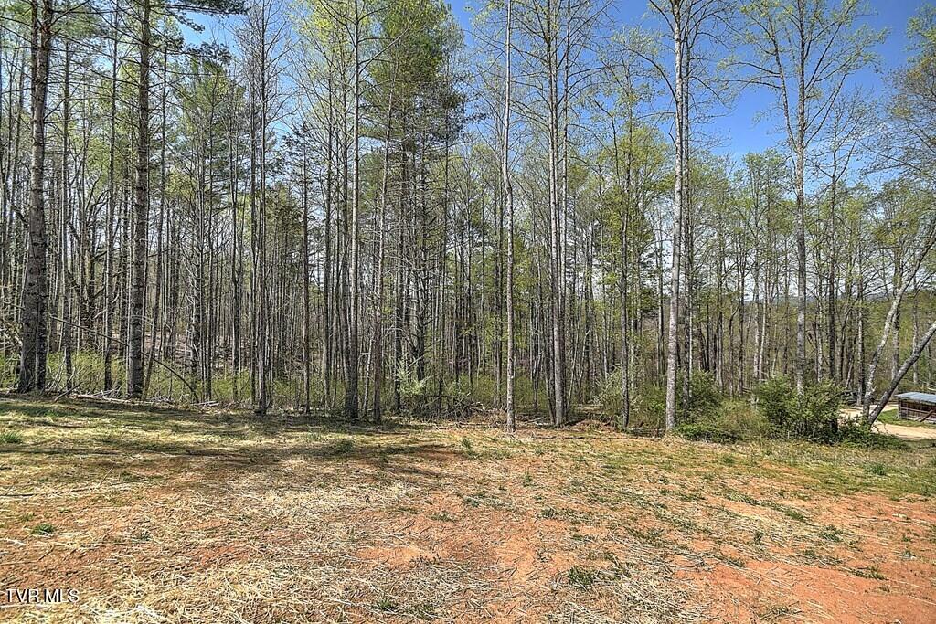 512 Norris Rd ( Bridle Path) Road, Butler, Tennessee image 16