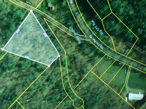 Vacant Land For Sale - TBD Copperhead Hollow Road<br/> Butler, TN 37640