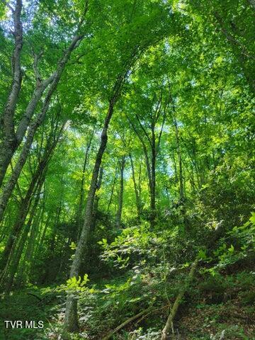 985 Copperhead Hollow Road, Mountain City, Tennessee image 7