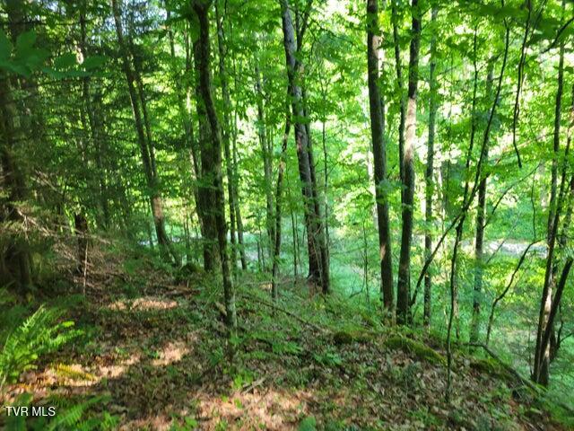 985 Copperhead Hollow Road, Mountain City, Tennessee image 8