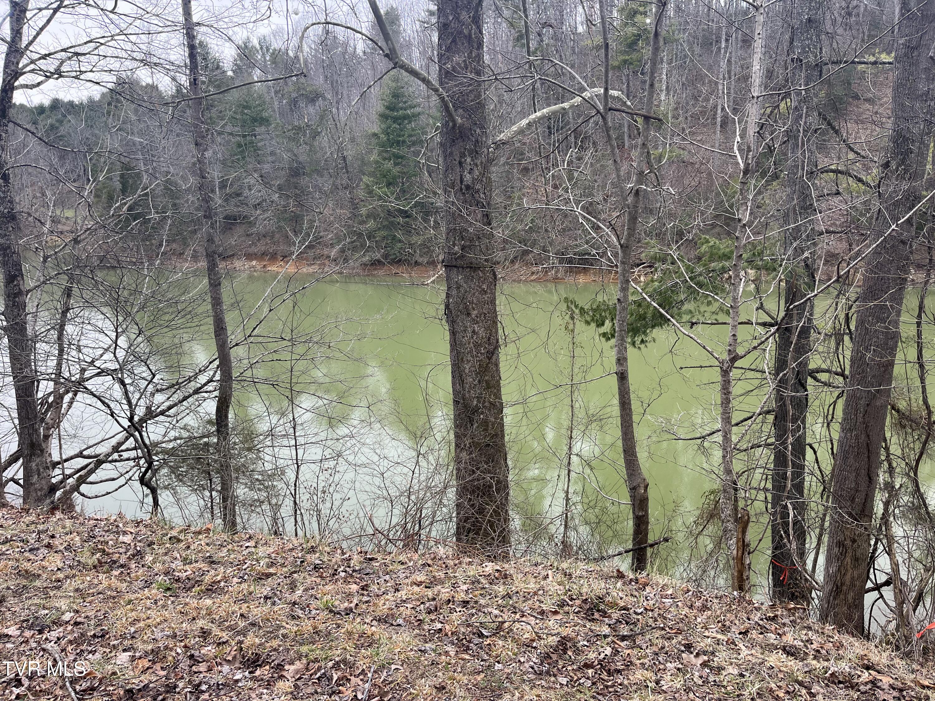 Tbd N. Dugger Road, Butler, Tennessee image 2
