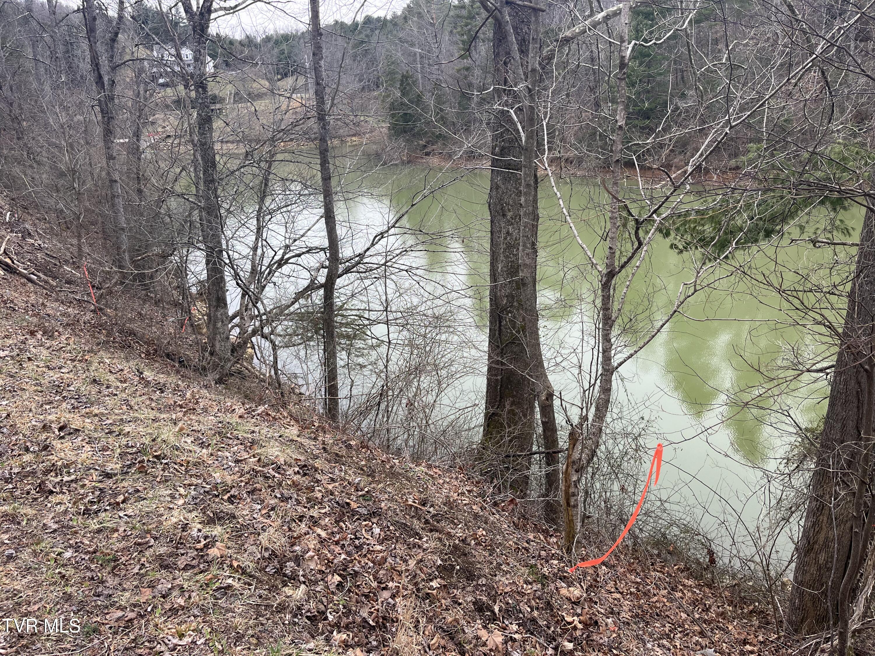 Tbd N. Dugger Road, Butler, Tennessee image 3
