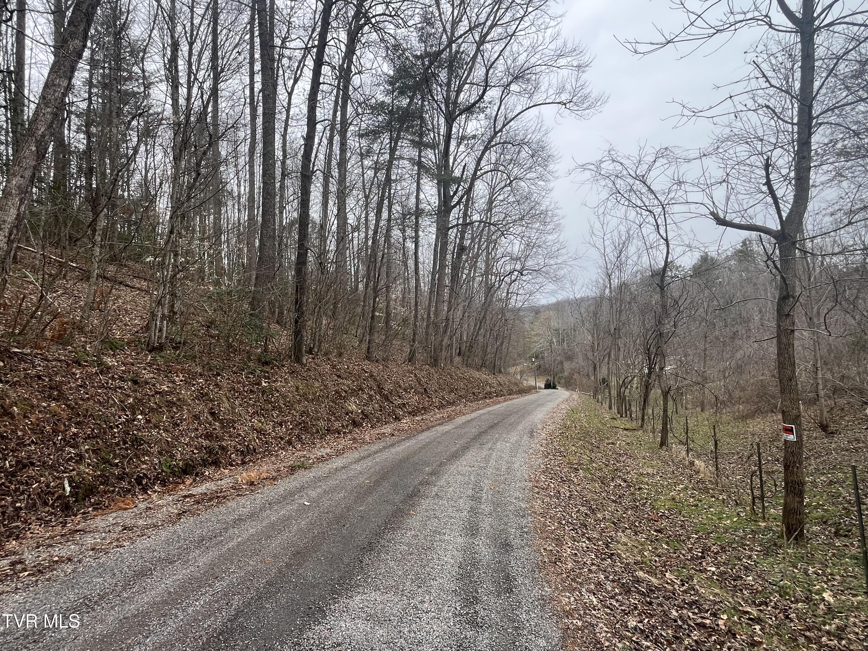 Tbd N. Dugger Road, Butler, Tennessee image 4