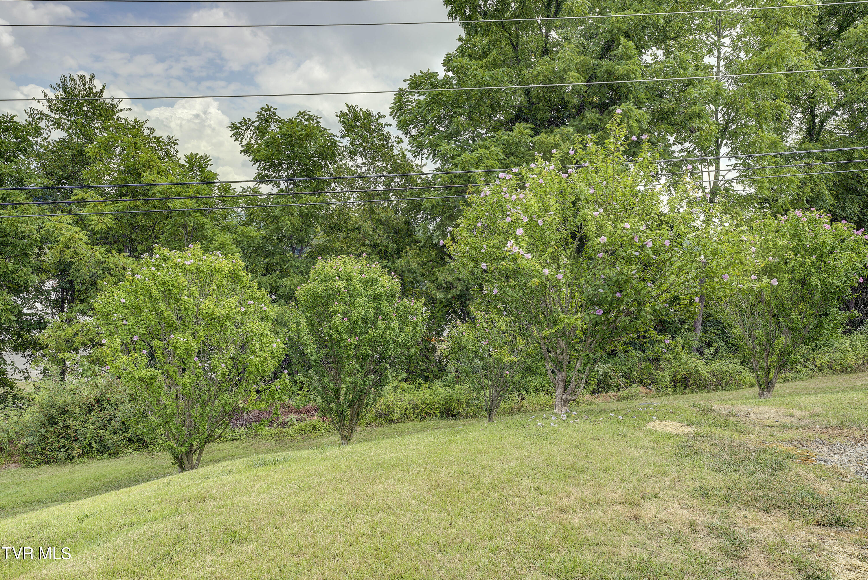 Abingdon, Virginia 24210, United States, 4 Bedrooms Bedrooms, ,3 BathroomsBathrooms,Residential,Pending,51077
