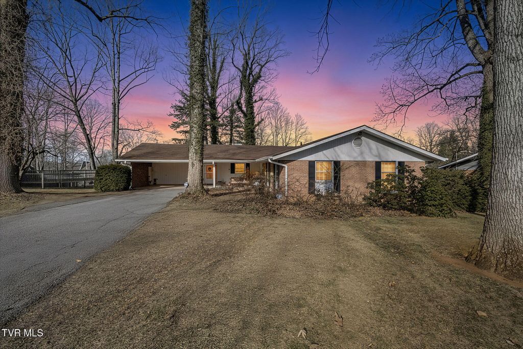 Photo of 213 Robin Road, Bristol, TN 37620 (MLS # 9989839)