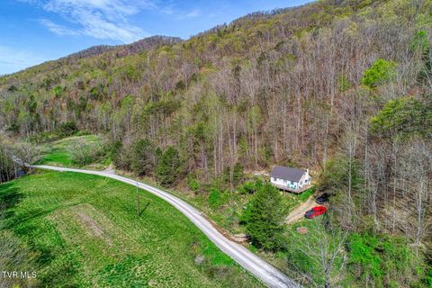 Tiny photo for 7300 Snake Hollow Road, Sneedville, TN 37869 (MLS # 9981321)
