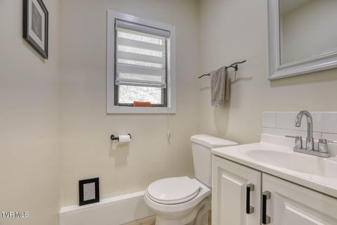 Tiny photo for 7300 Snake Hollow Road, Sneedville, TN 37869 (MLS # 9981321)
