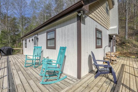 Tiny photo for 7300 Snake Hollow Road, Sneedville, TN 37869 (MLS # 9981321)