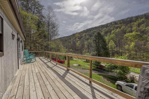 Tiny photo for 7300 Snake Hollow Road, Sneedville, TN 37869 (MLS # 9981321)