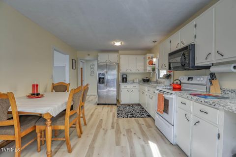 Tiny photo for 7300 Snake Hollow Road, Sneedville, TN 37869 (MLS # 9981321)